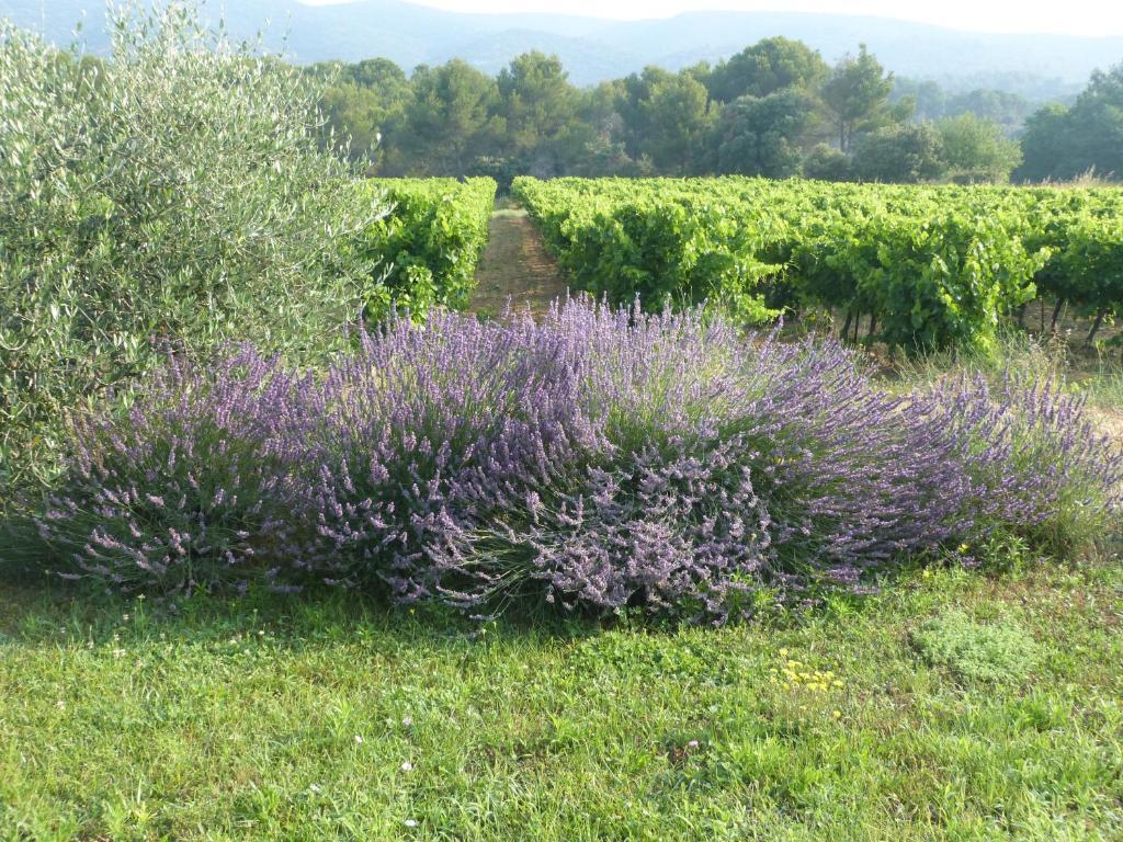 Maison d'hôtes Bastide St Victor à 2,5 kilomètres de Lourmarin Puyvert Exterior foto